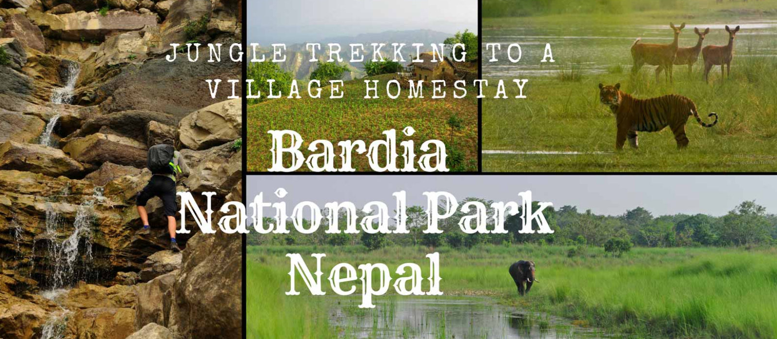 Borrow - Loan Company Website Template